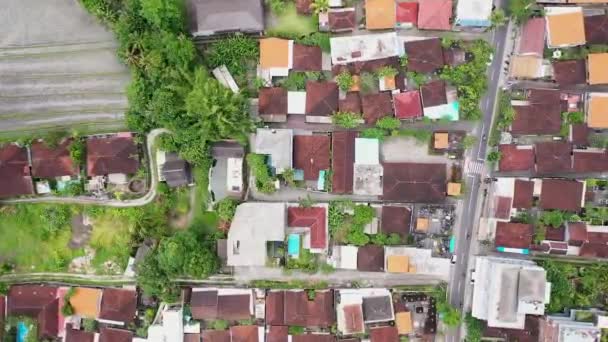 Вид сверху с воздуха на Бали - пейзаж в Кангу — стоковое видео