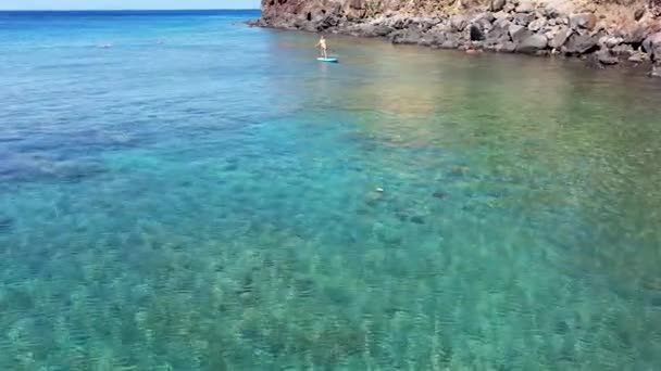 Stand Up Paddle Board Frau paddelt auf Hawaii und steht glücklich auf dem Paddelbrett auf blauem Wasser. junge gemischte Rasse asiatische kaukasische weibliche Modell am hawaiianischen Strand in den Sommerferien Urlaubsreisen — Stockvideo