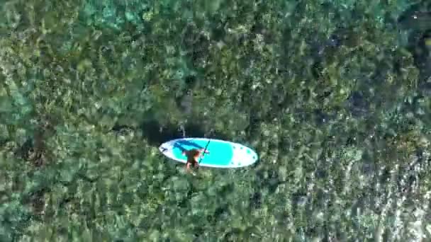 Top down girl rides a paddleboard on the crystal clear sea. Aerial view to woman on SUP board. Aerial view of young girl stand up paddling on vacation. Tracking shot of a young woman SUP boarding — Stock Video