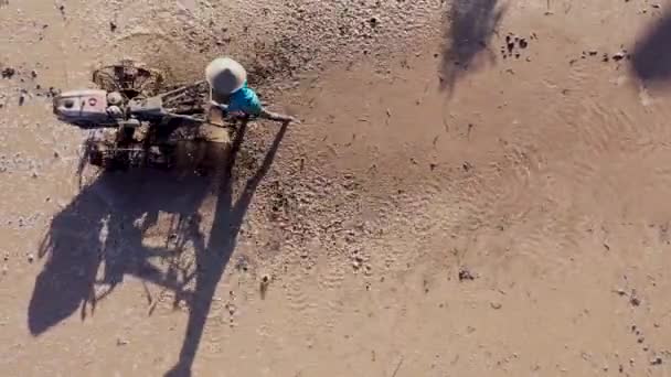 Vista aérea de la parte superior del tractor coche de arroz que trabaja en el agua para cultivar arroz arrozal, campo de cultivo, cosechando la producción de cultivo fabricante de agricultura. Naturaleza entorno paisaje.Industry en granja — Vídeos de Stock