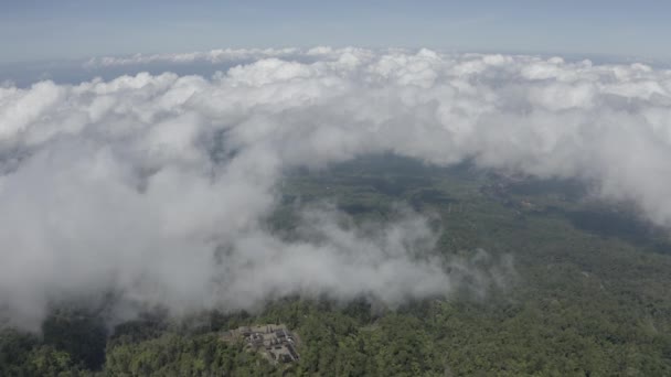 Letecký let nad vrcholem hory pokryté mraky. Hora s hustým lesem a jarní zelení pokryté krásnými mraky — Stock video