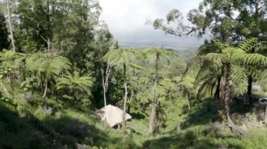 İnsansız hava aracı yağmur ormanlarında zeplin üzerinde ilerliyor. Tropikal bir ormanda ipe asılı bisiklet. Adrenalin yolu Bali 'deki bir yağmur ormanında ağaçların arasında bisiklet sürüyor.