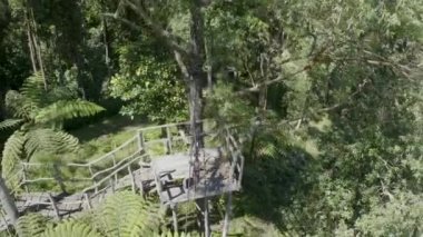 4 k hava uçak görüntülerini zip hattını ormanda. Yağmur ormanları Bali Adası