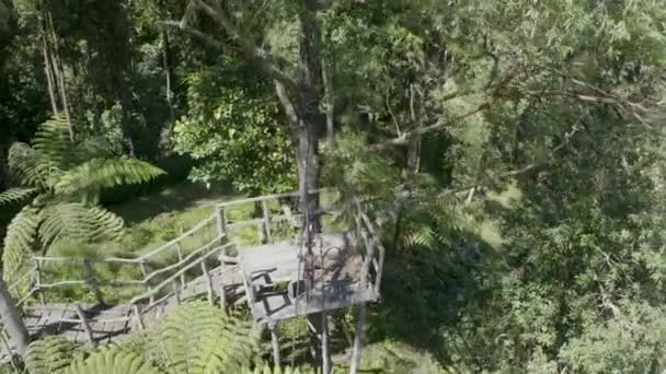 Imagens de drones aéreos 4K de tirolesa na selva. Floresta tropical da ilha de Bali — Vídeo de Stock