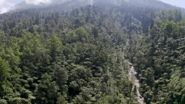 Detailní záběr ztvrdlé lávové mohyly s texturou a vlnami. Pohybuje se nad tropickým lesem na svahu sopky Gunung Agung. Sledování ztuhlého toku lávy v džungli — Stock video