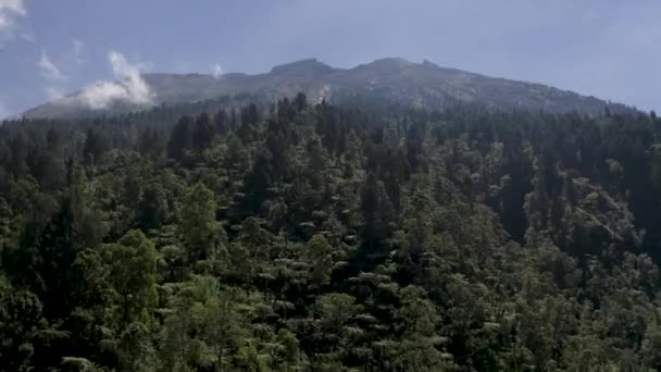 Dramatiska flygbilder av djungeln och Agungs vulkan. Flygdrönare video med människor på Mount Agung Summit på Bali Island i Indonesien — Stockvideo