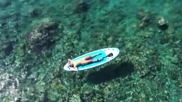 Ung kvinna flyter på Sup Board med Paddle On Water. Drone antenn skott av kvinna sola på surfbrädan.Flygfoto. Extrema sommarvattensporter. Hälsosam livsstil. Surfar. 4K — Stockvideo