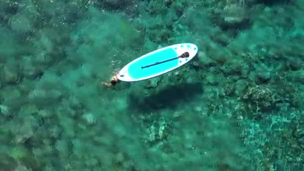 AERIAL TOP DOWN, DISTANCING Flying above girl stand up paddle boarding in beautiful crystal clear turquoise tropical sea. Sun shining through transparent water revealing rocky, stony and sandy seabed — Stock Video