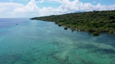 Bali 'de eşsiz bir ekosistem, kıyı şeridi boyunca mangrovlar. Hava görünümü
