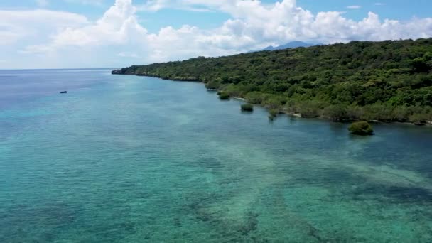 Unique ecosystem in Bali, mangroves along the coastline. Aerial view — Stock Video