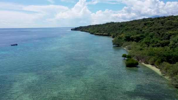 Αεροφωτογραφία τροπικό νησί Menjanga με λευκή αμμουδιά. Κοραλλιογενής ύφαλος, ατόλλη στον Menjangan, πολύχρωμος ύφαλος και τέλειο ψαροντούφεκο και καταδύσεις. Θαλάσσιο τοπίο, ωκεανός και πανέμορφος παραθαλάσσιος παράδεισος. Ταξίδι — Αρχείο Βίντεο