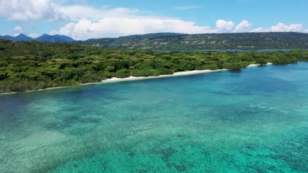 Drone vista de una isla tropical de Menjangan y arrecife de corral en el Océano Índico. El concepto de unas vacaciones paradisíacas — Vídeos de Stock
