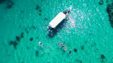 Menjangan Adası, Bali, Endonezya 'daki mercan resifinde Snorkelers ile birlikte hava aracı çekimi.