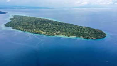 Issız Ada cennetine insansız hava aracı görüntüsü. Tropikal sahil adası Menjangan 'ın palmiyeli tatil ikonu. Turkuaz kristal berrak göl suyu