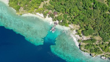 Hint Okyanusu 'ndaki tropikal bir Menjangan adası ve mercan resifinin insansız hava aracı görüntüsü. Cennet tatili kavramı