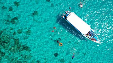 Menjangan Adası, Bali, Endonezya 'daki mercan resifinde Snorkelers ile birlikte hava aracı çekimi.