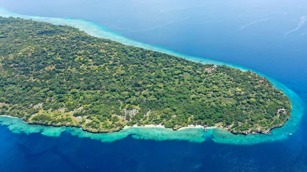Hint Okyanusu 'ndaki tropikal bir Menjangan adası ve mercan resifinin insansız hava aracı görüntüsü. Cennet tatili kavramı