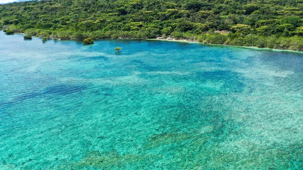 Drone vista de una isla tropical de Menjangan y arrecife de corral en el Océano Índico. El concepto de unas vacaciones paradisíacas — Foto de Stock