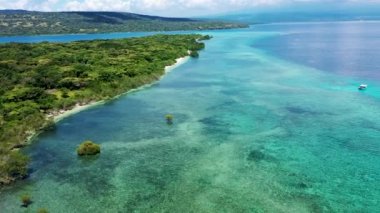 Tropikal beyaz kumlu plaj ve küçük dalgalar ve palmiye ağaçları ormanı ile turkuaz berrak deniz suyu havadan görünümü. Praia do Forte, Bahia, Brezilya. Seyahat tropikal kavramı