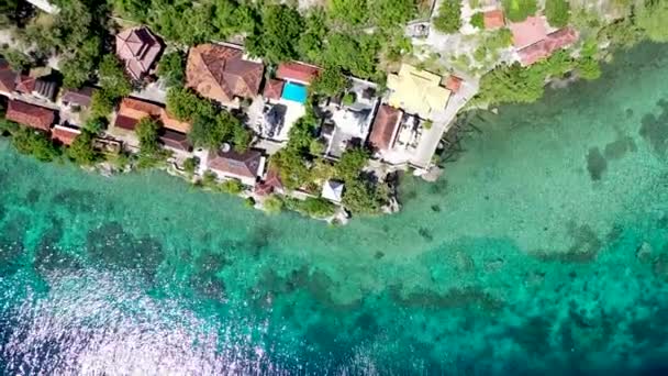 Vista aérea desde el dron Vista superior de las palmeras de coco Vista superior hacia abajo. Palmera verde en isla tropical Menjangan, edificios y templo hindú — Vídeos de Stock