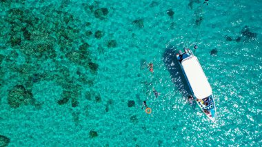 Menjangan Adası, Bali, Endonezya 'daki mercan resifinde Snorkelers ile birlikte hava aracı çekimi.
