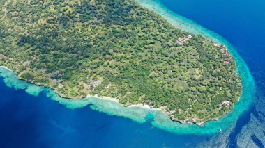 Hint Okyanusu 'ndaki tropikal bir Menjangan adası ve mercan resifinin insansız hava aracı görüntüsü. Cennet tatili kavramı