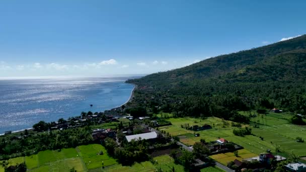 Scenic Tropical Landscape North Bali Island Small Local Village Shore — Stock Video