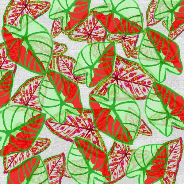 Colorido Rojo Verde Hojas Tropicales Primavera Naturaleza Fondo Diseño Ilustración — Foto de Stock