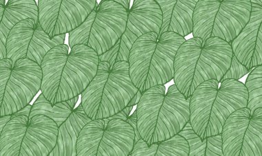 yeşil tropikal yapraklar bahar doğası arka planı