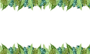 Yeşil tropikal yapraklar beyaz boş alan arkaplanlı bahar doğası