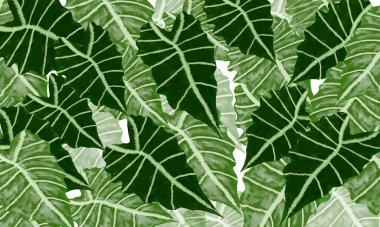 Taze yeşil tropikal yapraklar bahar doğası suluboya boya tasarımı arka plan
