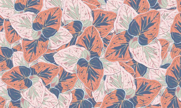 Красочный Каладиум Тропические Растения Весенний Фон Природы Нарисованный Вручную Иллюстрации — стоковое фото