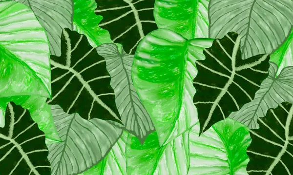 Grüne Tropische Blätter Frühling Natur Hintergrund — Stockfoto
