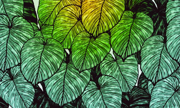 Grüne Tropische Blätter Bei Sonnenaufgang Frühling Natur Hintergrund — Stockfoto