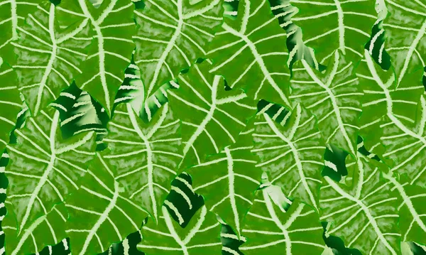 Grüne Tropische Blätter Aquarell Digitale Malerei Frühling Natur Hintergrund — Stockfoto