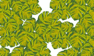 Yeşil tropikal yapraklar soyut bahar, yaz mevsimi doğa arka planı