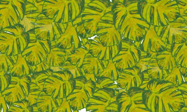 Folhas Tropicais Verdes Mão Desenhada Abstrato Primavera Verão Natureza Fundo — Fotografia de Stock