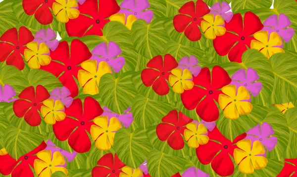 Colorful Red Yellow Pink Tropical Flower Green Leaves Hand Drawn — Stock Photo, Image