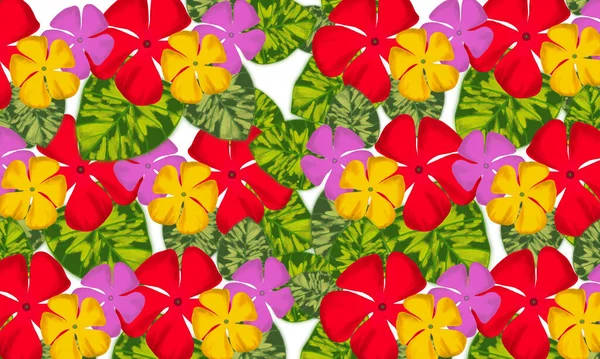 Colorful Red Yellow Pink Tropical Flower Green Leaves Hand Drawn — Stock Photo, Image