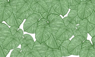 yeşil tropikal yapraklar bahar deseni, el çizimi duvar kağıdı arkaplanı