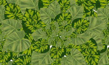yeşil tropikal yapraklar el çizimi desen, duvar kağıdı doğa arkaplan tasarımı 