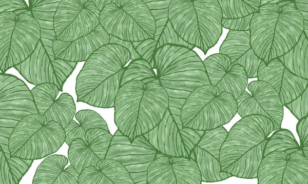 yeşil tropikal yapraklar bahar deseni, el çizimi duvar kağıdı arkaplanı