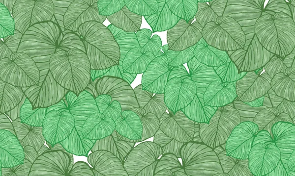 Green Tropical Leaves Spring Pattern Hand Drawn Illustration Wallpaper Background — Photo