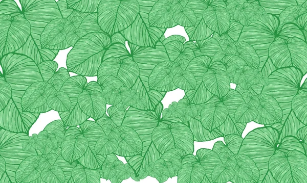 Green Tropical Leaves Spring Pattern Hand Drawn Illustration Wallpaper Background —  Fotos de Stock