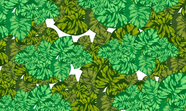 Green Tropical Leaves Spring Pattern Hand Drawn Illustration Wallpaper Background — Foto Stock