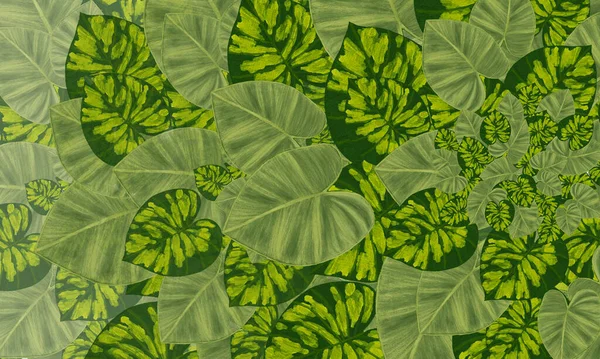 Зелене Тропічне Листя Мальований Візерунок Шпалери Дизайн Фону Природи — стокове фото