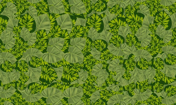 yeşil tropikal yapraklar el çizimi desen, duvar kağıdı doğa arkaplan tasarımı 