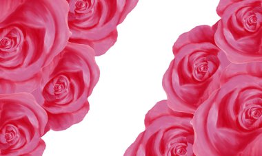 Beyaz arkaplan ile pembe gül suluboya boya