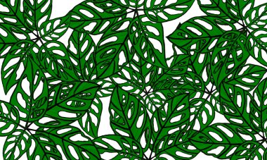 Tropik yeşil yapraklar bahar doğası arka planı