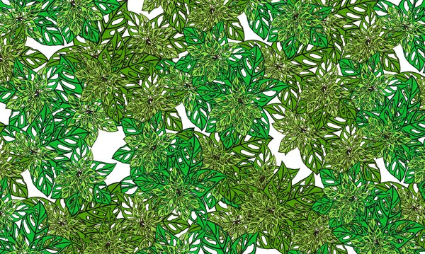 Tropické Zelené Listy Jaro Příroda Pozadí — Stock fotografie